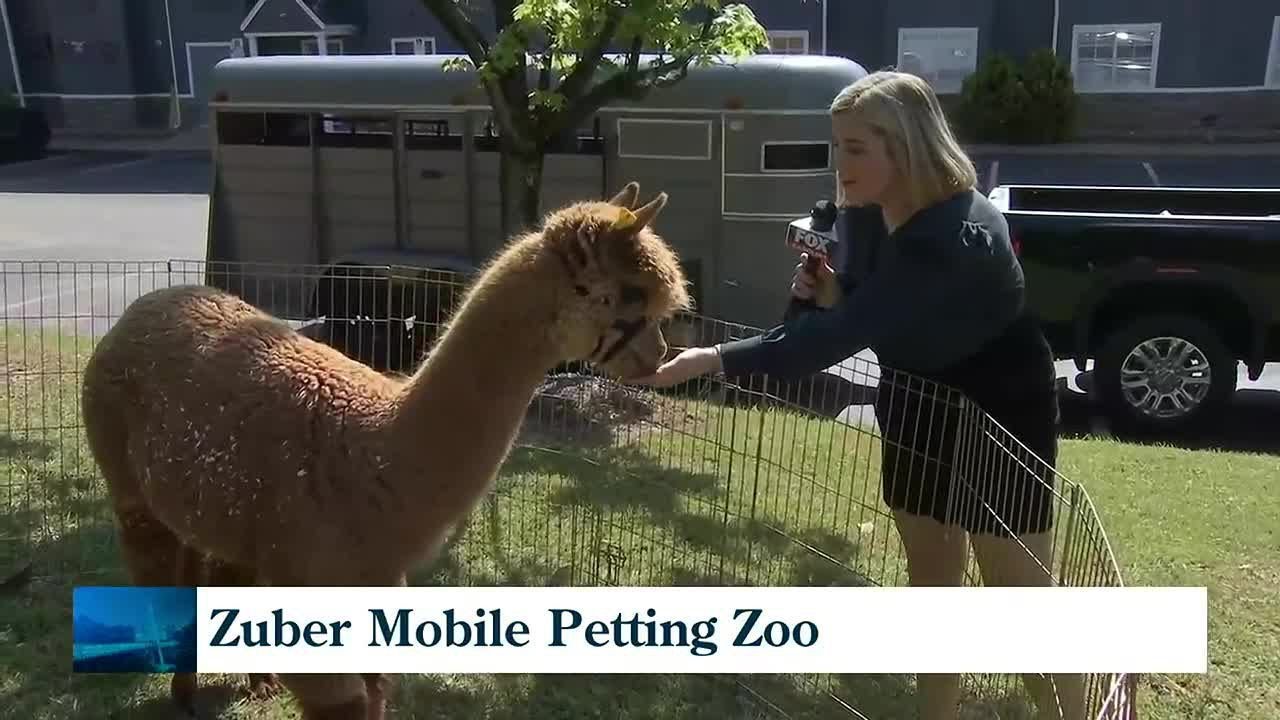 Zuber Mobile Petting Zoo Brings Amazing Animals To You!