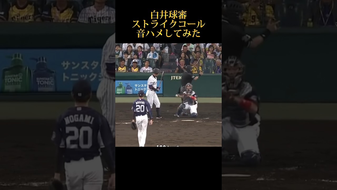 【アーイ‼︎】白井球審ストライクコールで音ハメしてみた#読売ジャイアンツ #阪神タイガース #プロ野球 #mlb #大谷翔平 #大谷翔平 #wbc #侍ジャパン #坂本勇人 #白井