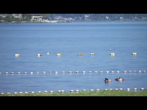 18 Year Old’s Body Recovered From Lake Sammamish