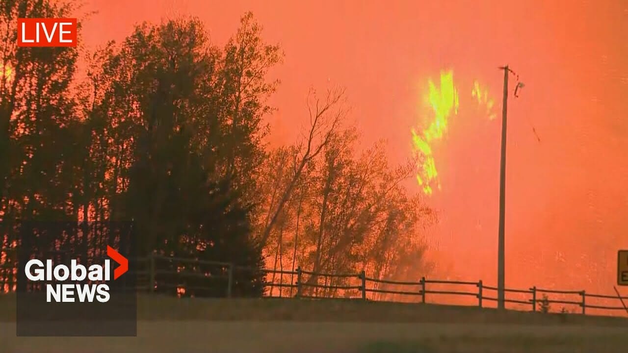 Alberta Wildfires: Danielle Smith Asks Ottawa For Military Support As Fires Rage | Live