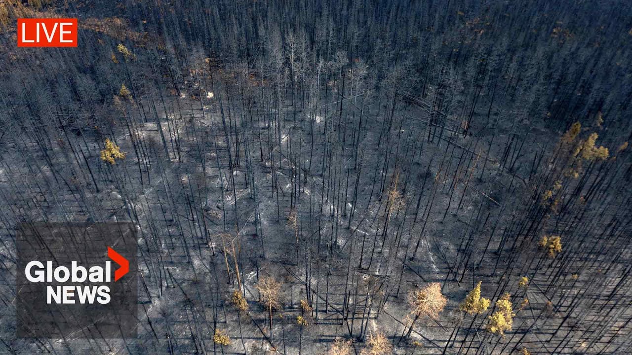 Alberta Wildfires: Officials Provide Update As Military Arrives To Help | Live