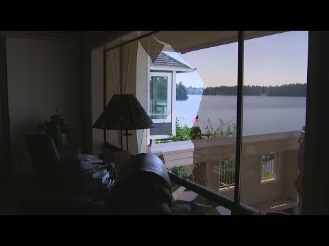 Bald Eagle Breaks Through Window At A Home On American Lake