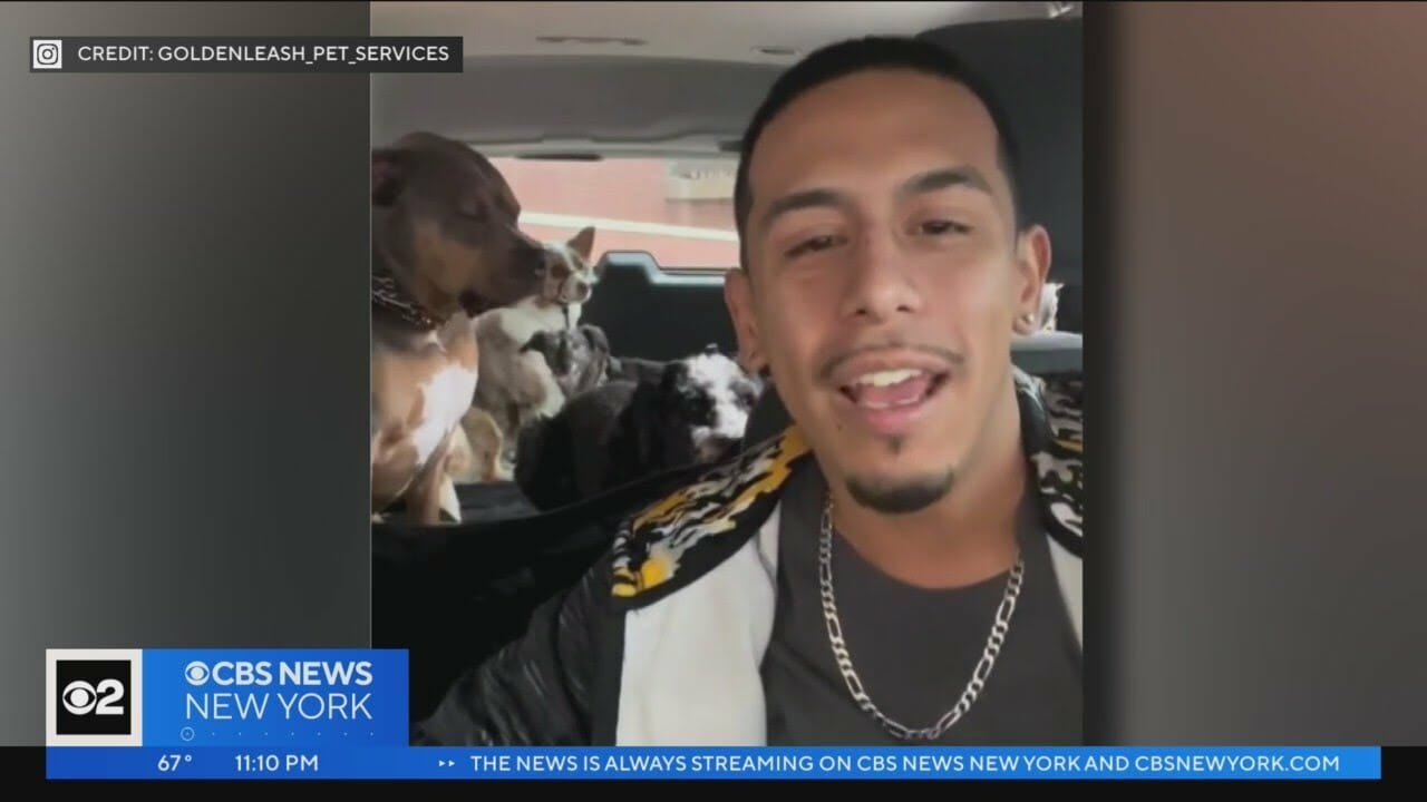 Beloved Dog Walker Killed In North Bergen Hit And Run