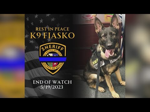 Bexar County K9 Officer Found Dead By Handler, Bsco Says