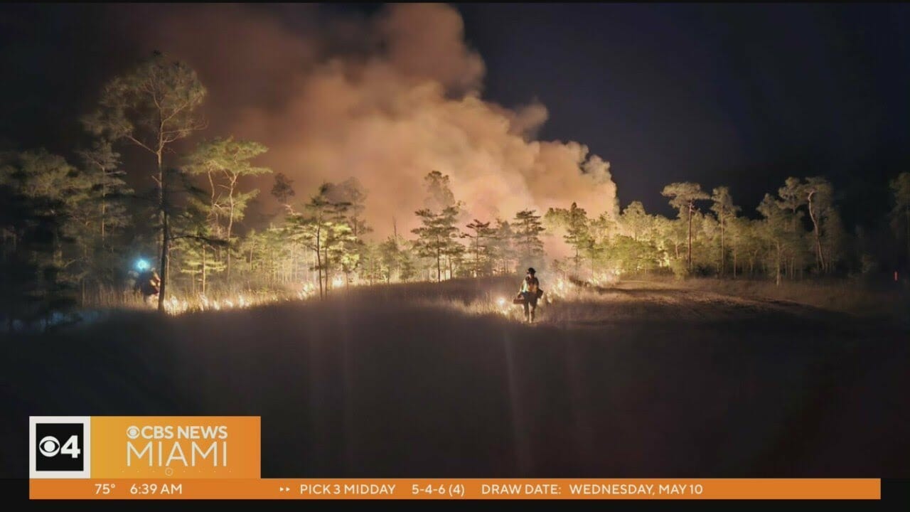 Big Cypress National Preserve Wildfire Continues To Grow