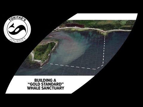 Building North America’s First True Whale Refuge