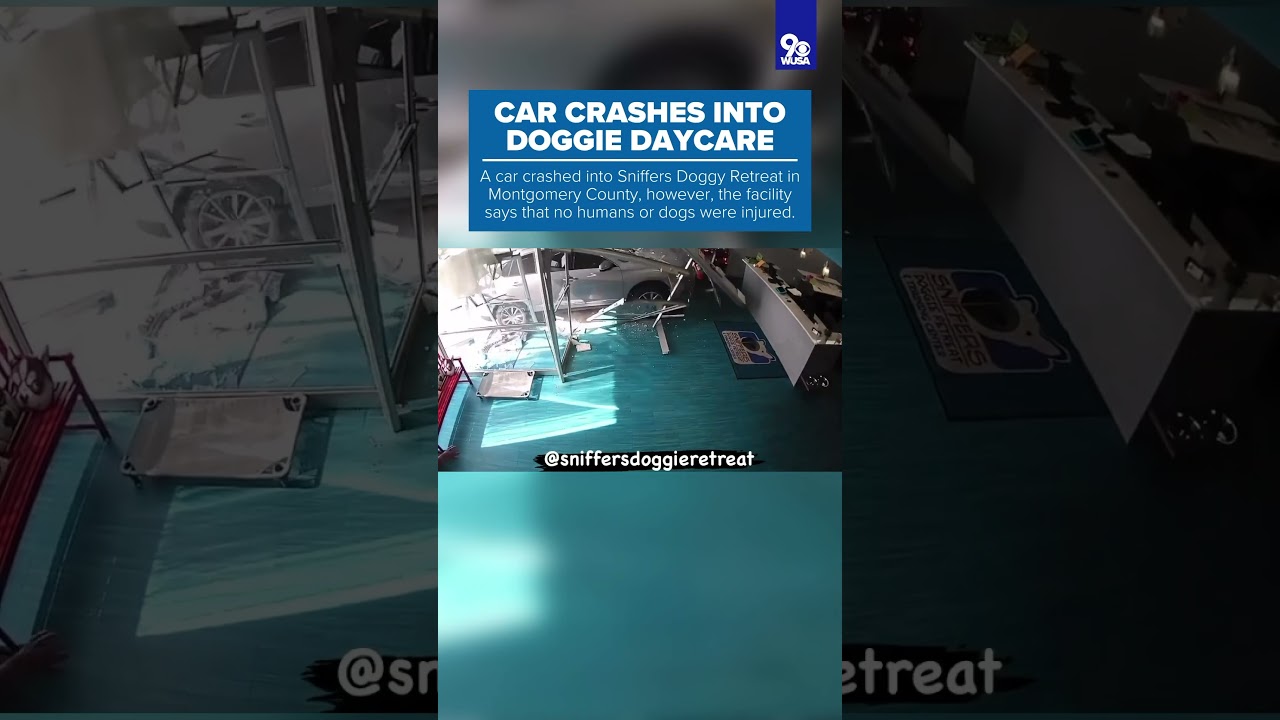 Car Crashes Into Doggie Daycare In Maryland