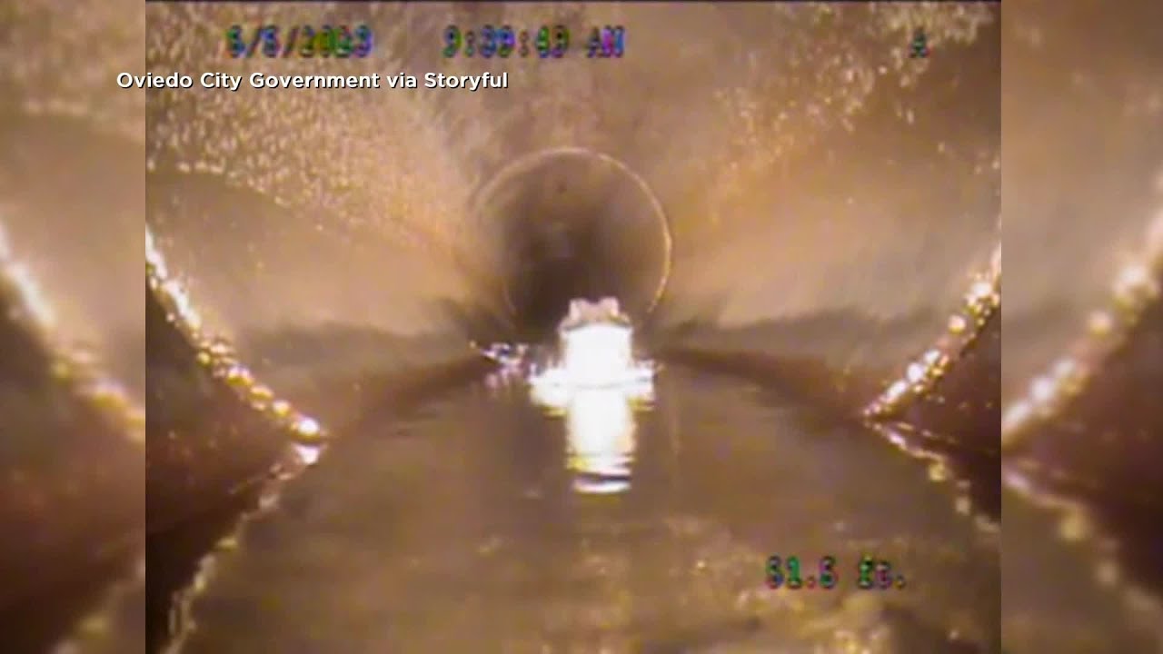 Caught On Camera: Fl City Crew’s Robot Finds Gator In Stormwater Pipe