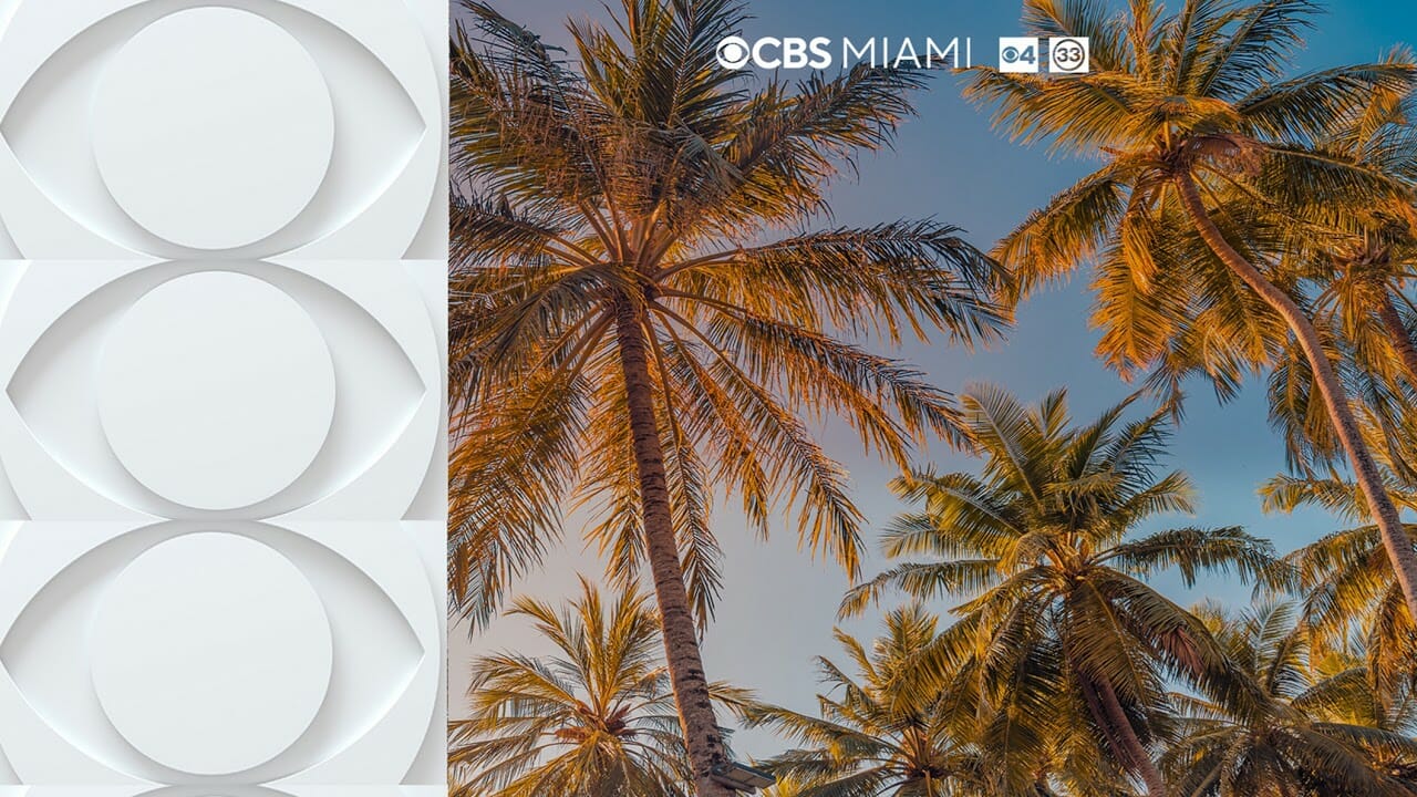 Cbs Miami Live Stream