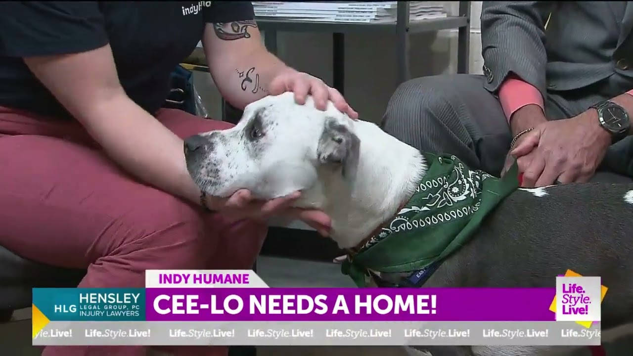 Cee Lo Needs A Home