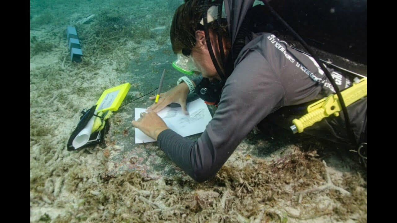 Cemetery, Hospital Found Underwater In Florida Keys | Houston