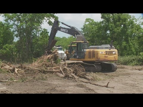 City Celebrates Clean Up Of Blighted Area In N.o. East | New Orleans News