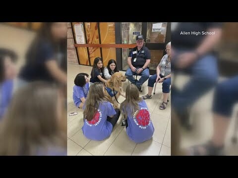 Comfort Dogs Visit Allen High School Following Texas Mall Shooting