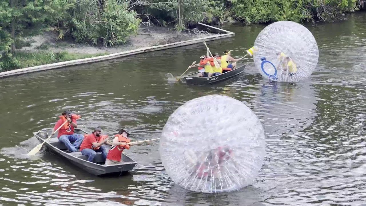 Competitors In Zorb Balls Race Through Gator Infested Waters At Gatorland