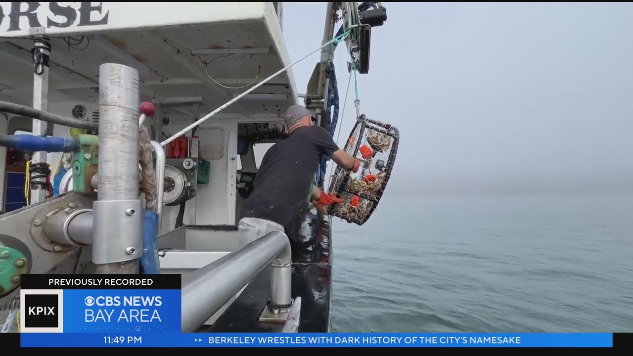 Crab fishermen test out new equipment designed to be safer for whales