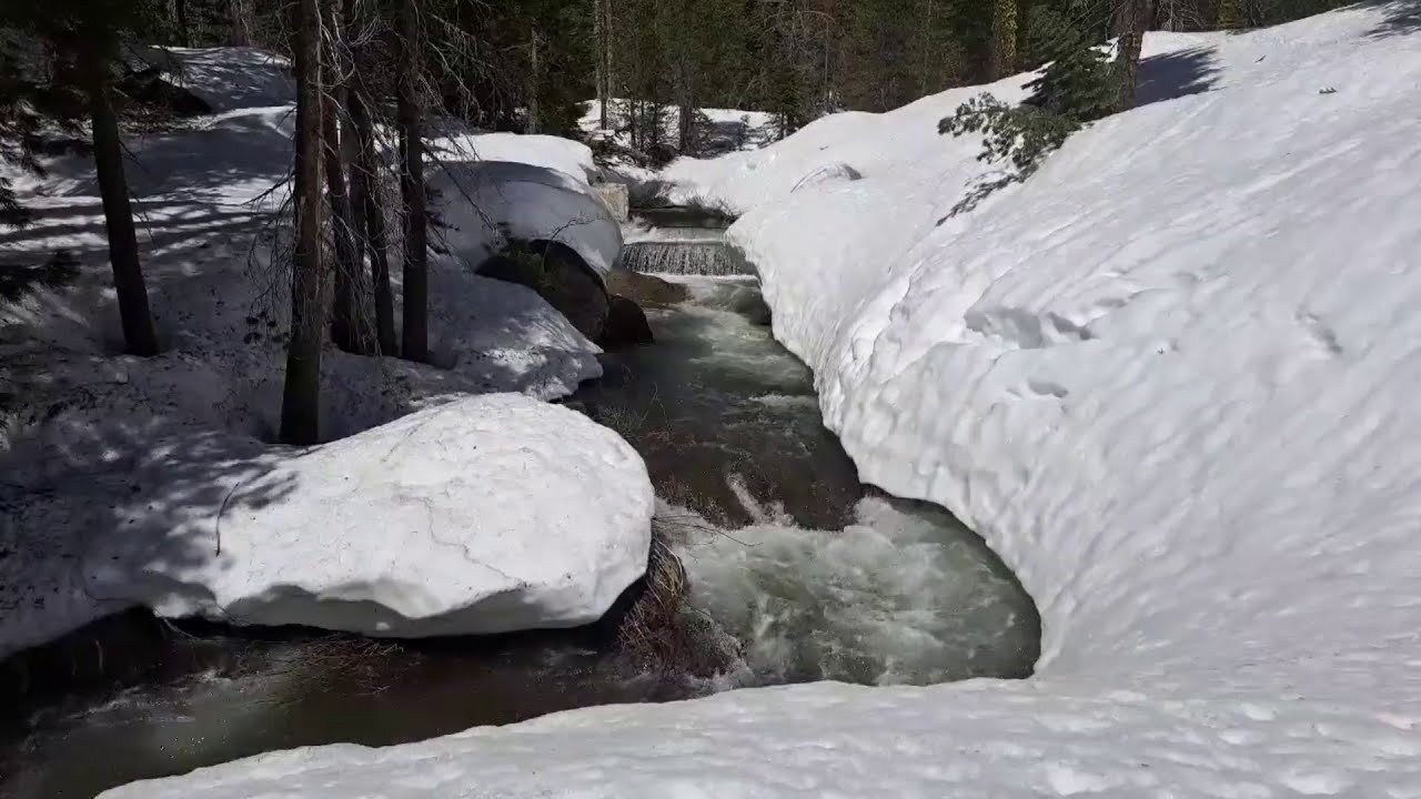 Creeks Gush In Sierra Nevada As Melting Of Historic Snowpack Intensifies | Houston