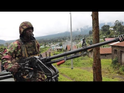 Criticism Mounts Of Regional Force Fighting M23 Rebels In Eastern Dr Congo • France 24 English