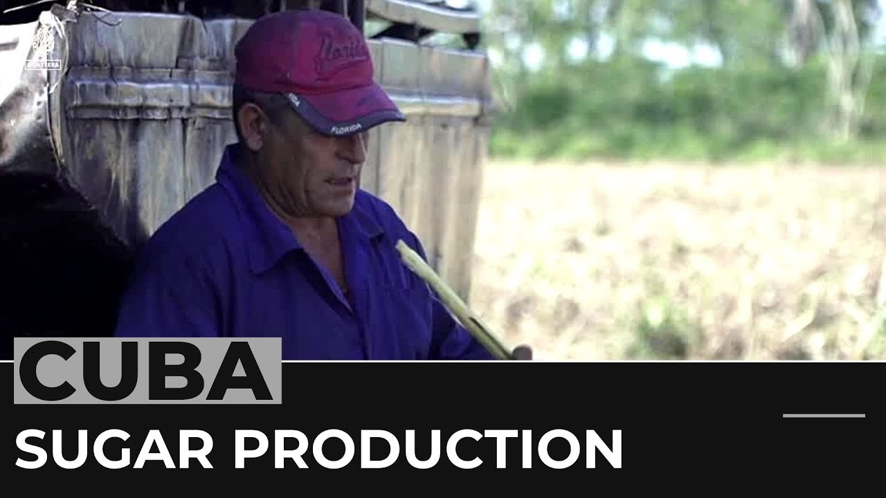 Cuba Sanctions: Sugar Production Grinding To Halt