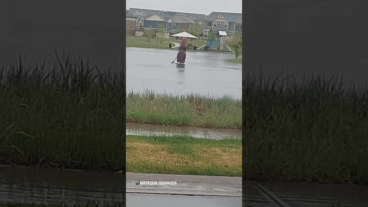 Didn’t Expect To See This Paddleboarding