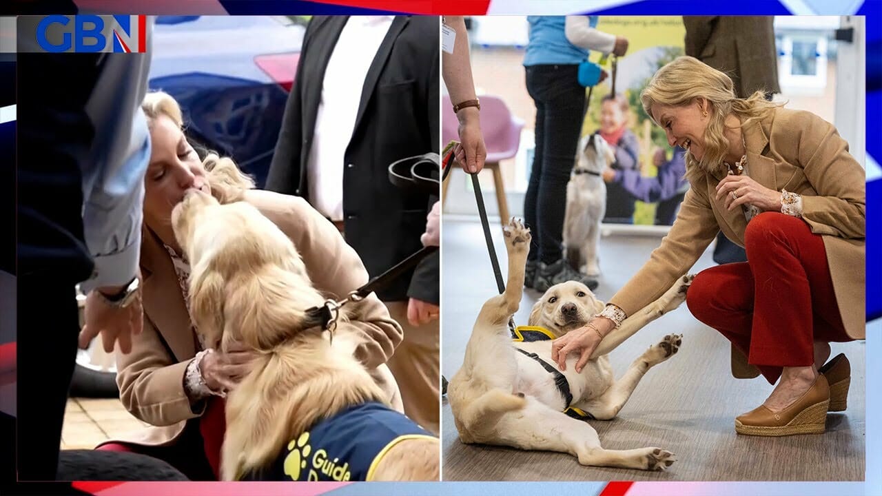 Dog Jumps Up And Kisses Sophie, Duchess Of Edinburgh In Heartwarming Moment