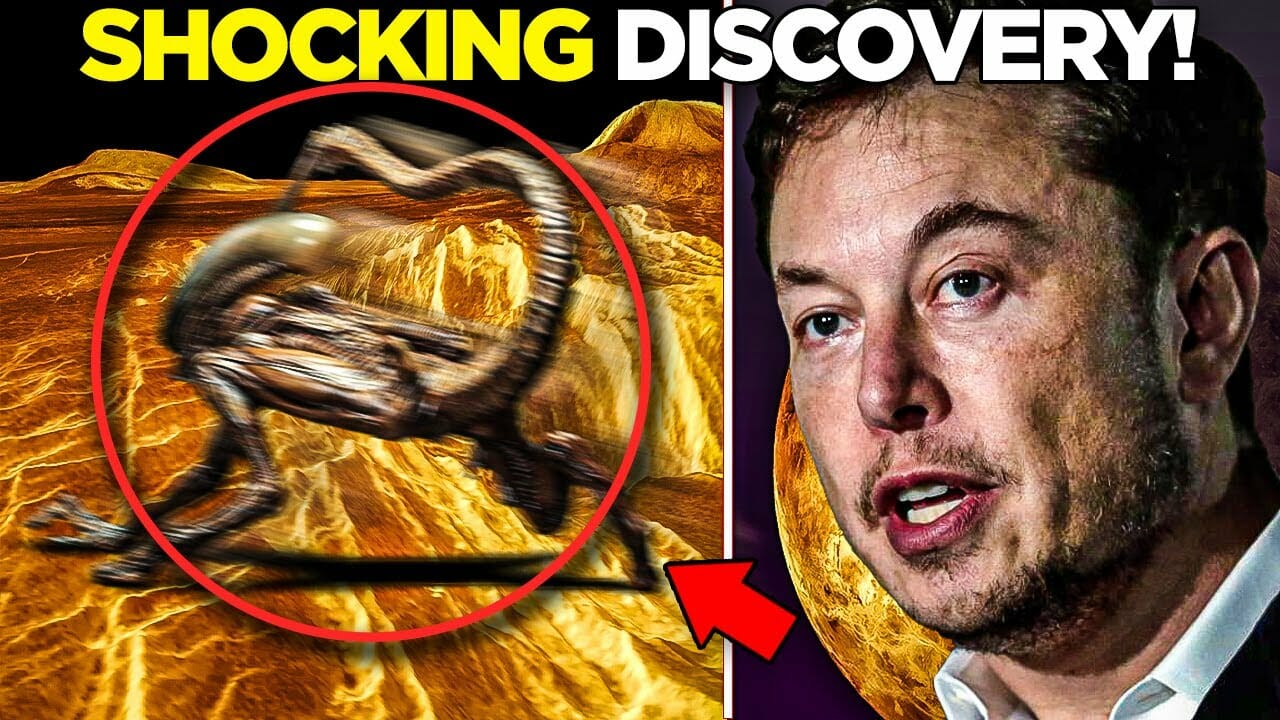 Elon Musk Just Exposed Shocking Discovery On Venus! | Spacex News