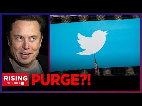 Elon Musk To Purge Twitter Of Inactive Accounts: Rising Reacts