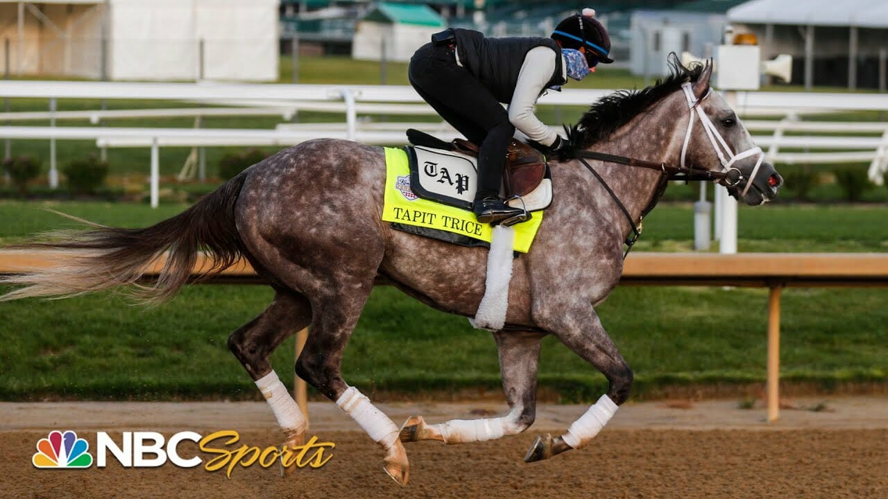 Evaluating The Top Horses In The Kentucky Derby: Tapit Trice, Forte, Derma Sotogake | Nbc Sports