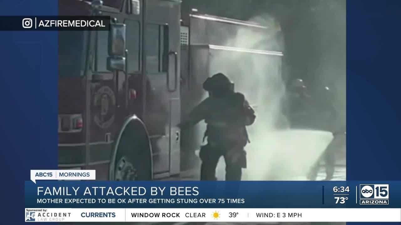 Family Attacked By Bees In Buckeye