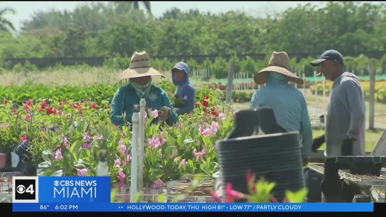 Farm Workers Say They Will Be Leaving Florida