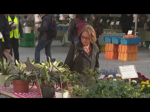 Farmers Market Sprouts Up At Daley Plaza