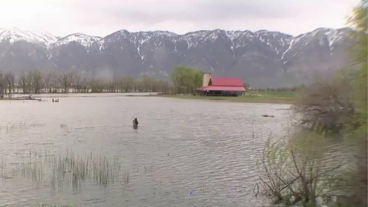 Farms Near Bear River Partially Underwater Due To Flooding | Utah News