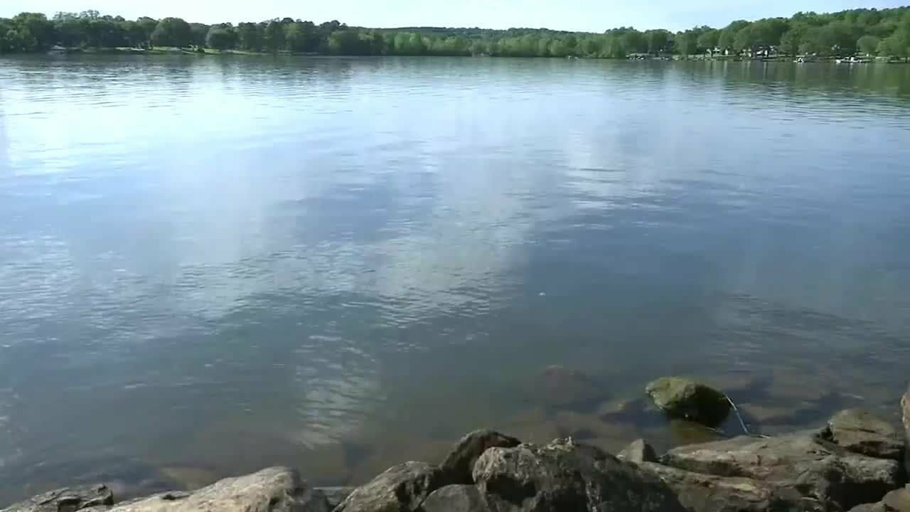 Fish Loss At Lake Bowen Still Under Investigation