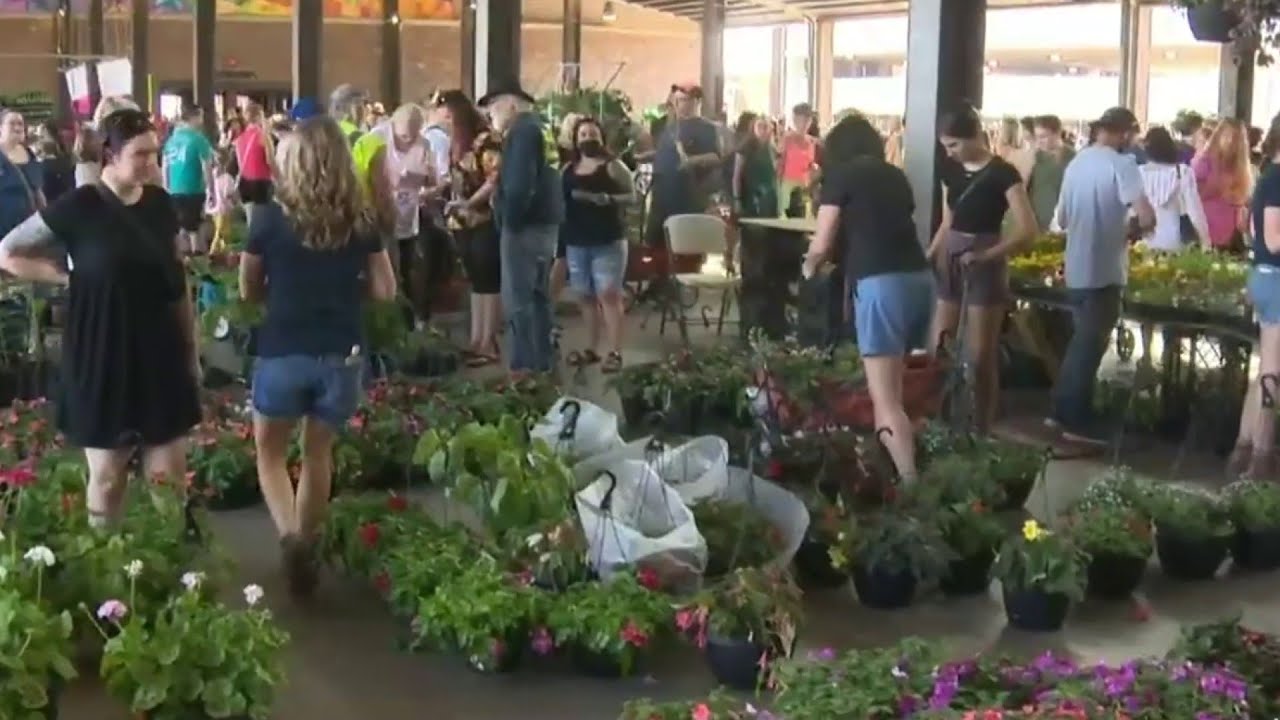 Flower Day In Detroit Returns To Eastern Market | Detroit News