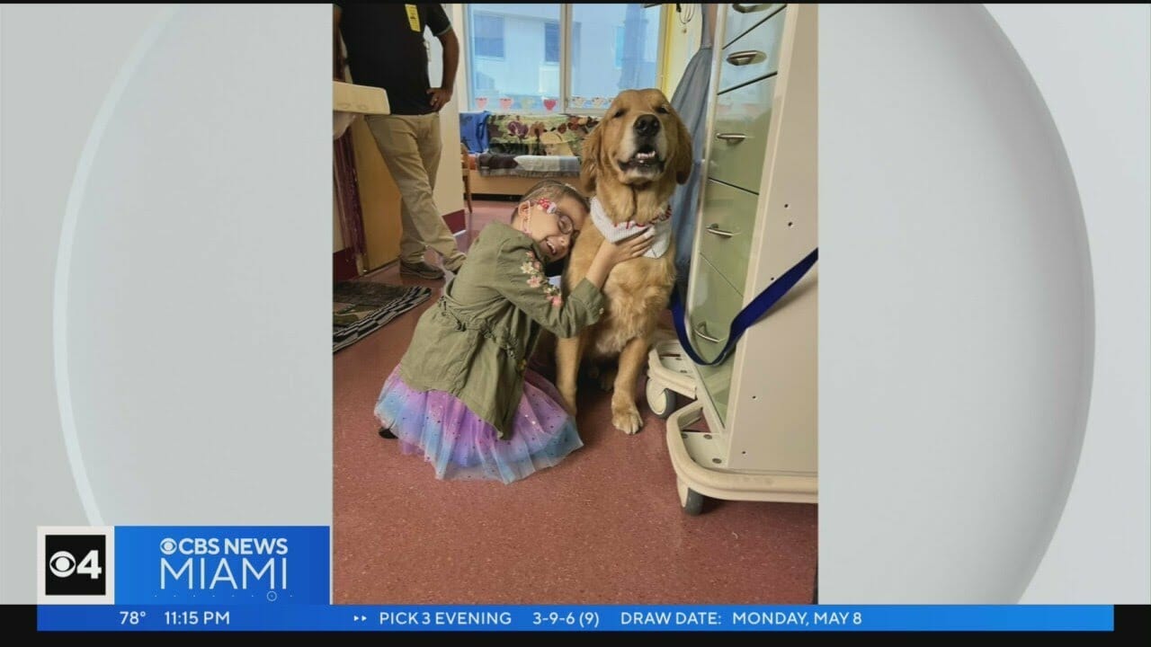 Freedom Brightens Halls At Joe Dimaggio Children’s Hospital