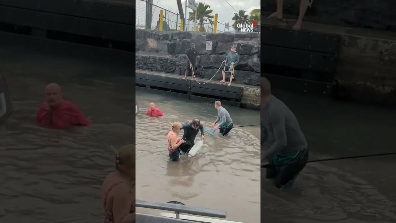 Gps Fail: Hawaii Tourists Drive Car Straight Into Harbour