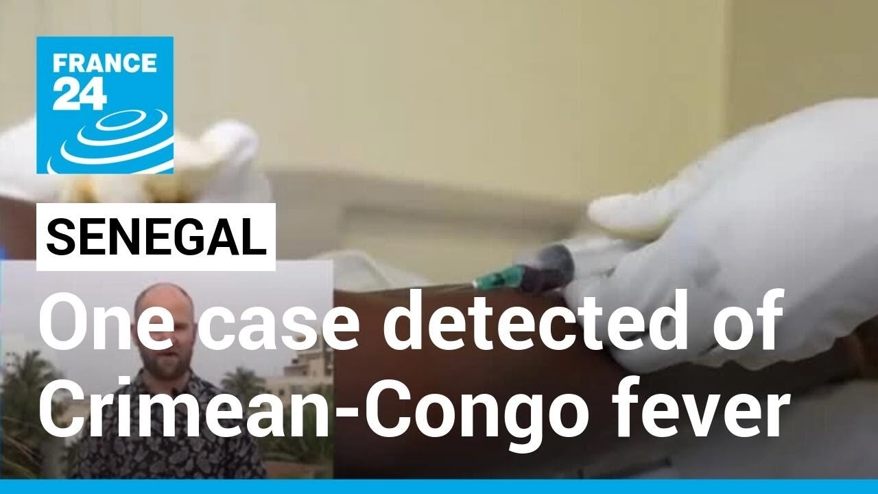 Haemorrhagic Fever In Senegal: One Case Of Crimean Congo Fever Detected • France 24 English