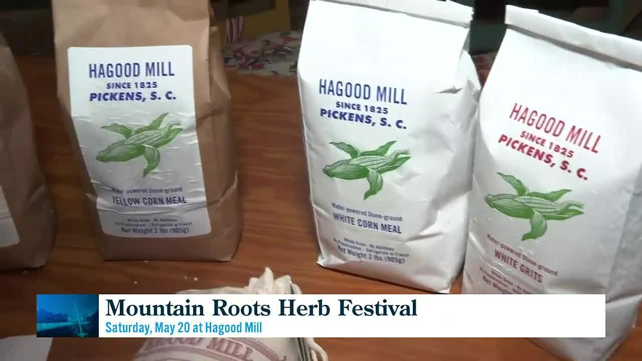 Hagood Mill Mountain Roots Herb Festival