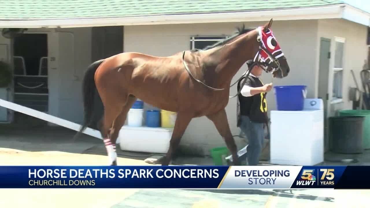 Horse Deaths Ahead Of Kentucky Derby Spark Concerns