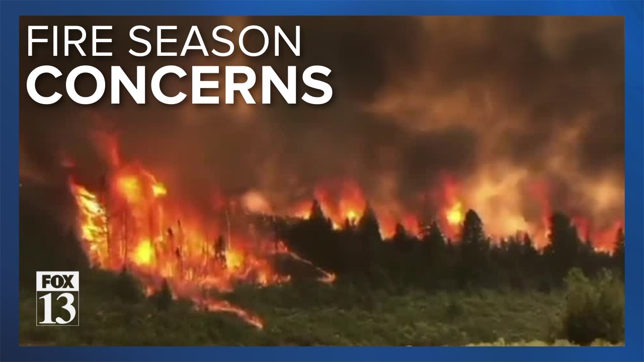 How Will Especially Wet Winter And Spring Impact Wildfire Season? | Utah News