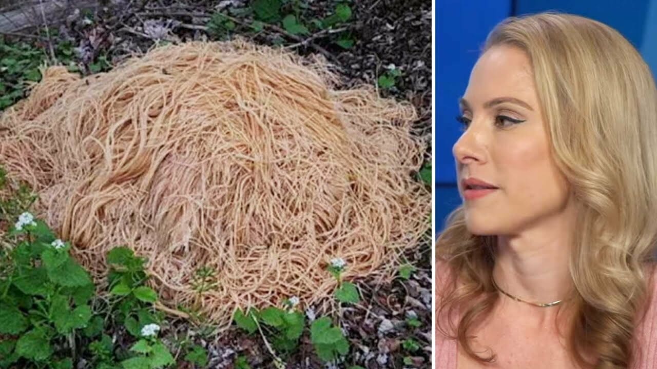 Hundreds Of Pounds Of Pasta Mysteriously Appear In New Jersey Woods