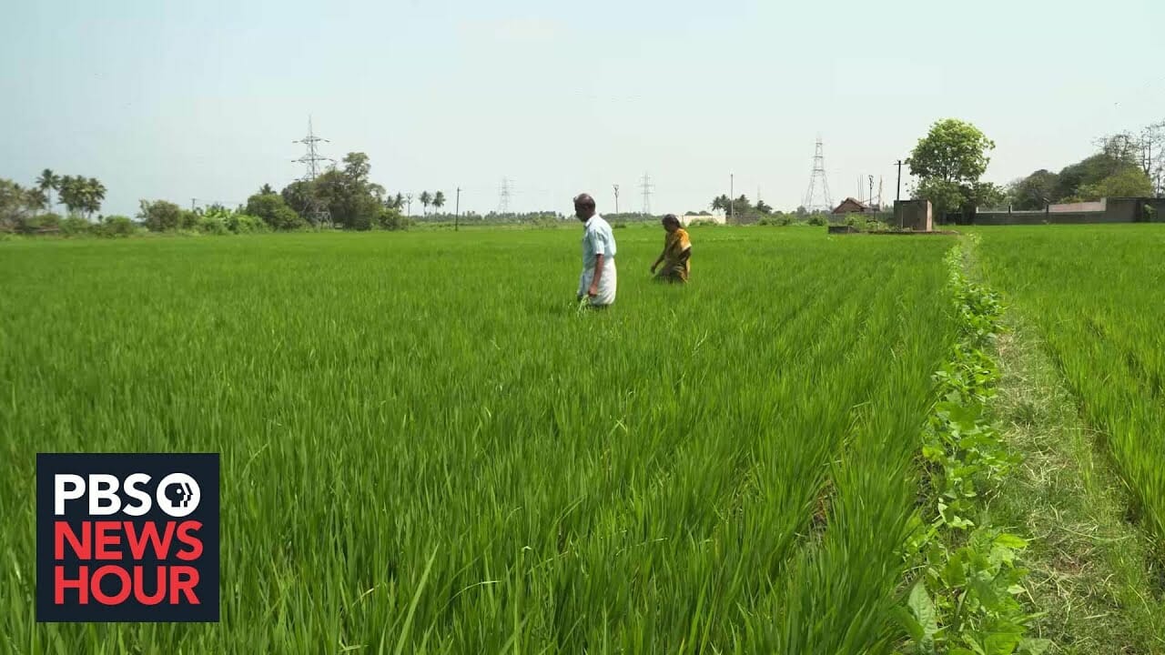 India Faces Challenge Of Feeding Its People As It Becomes World’s Most Populous Nation