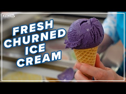 Inside Bee Nice Cream To Try Their Unique Ice Cream Flavors | Neighborhood Eats