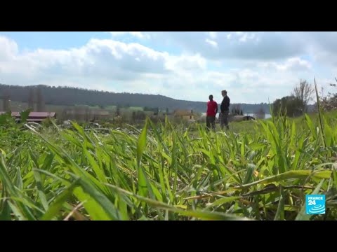 Italy Cracks Down On Asylum, Boosting Work Visas Instead • France 24 English