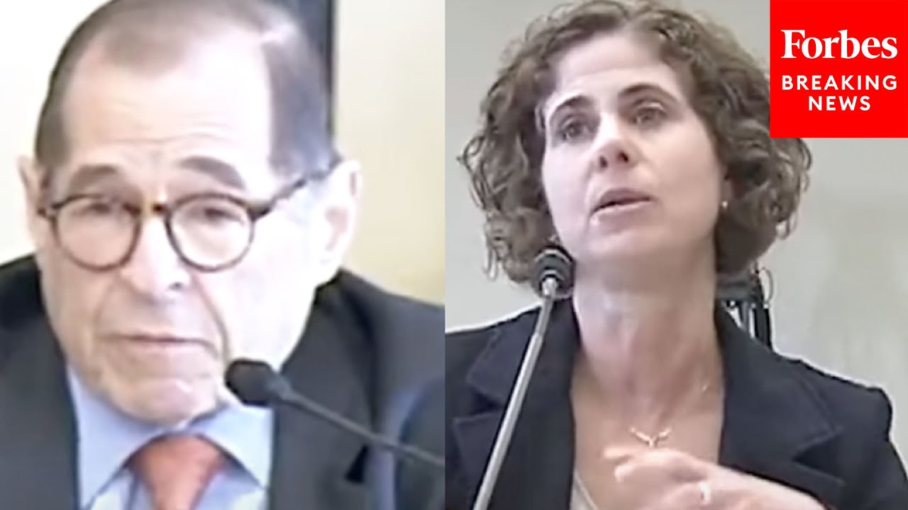 Jerry Nadler Questions Civil Liberties Oversight Official On Data Collection Of Us Citizens