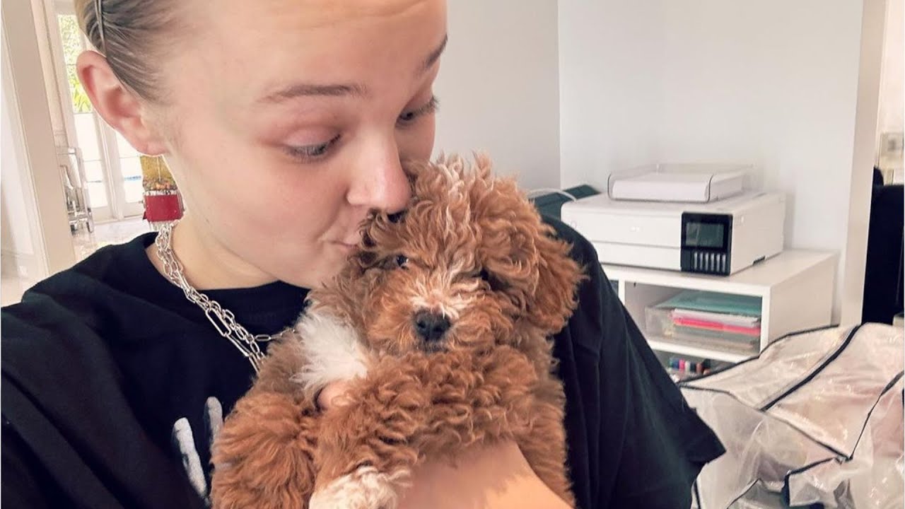 Jojo Swia Mourns Death Of Her Puppy After He Suffers Fatal Accident