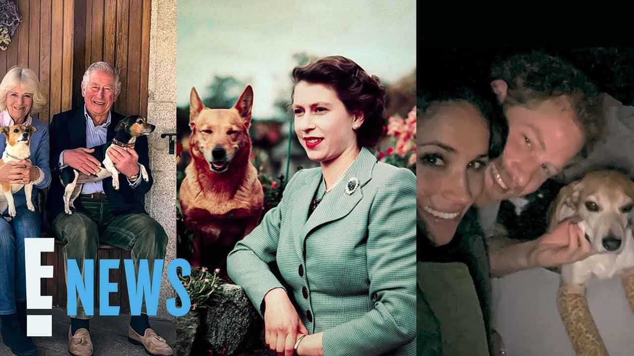 King Charles Iii’s Coronation: A Guide To The Royal Dogs! | E! News