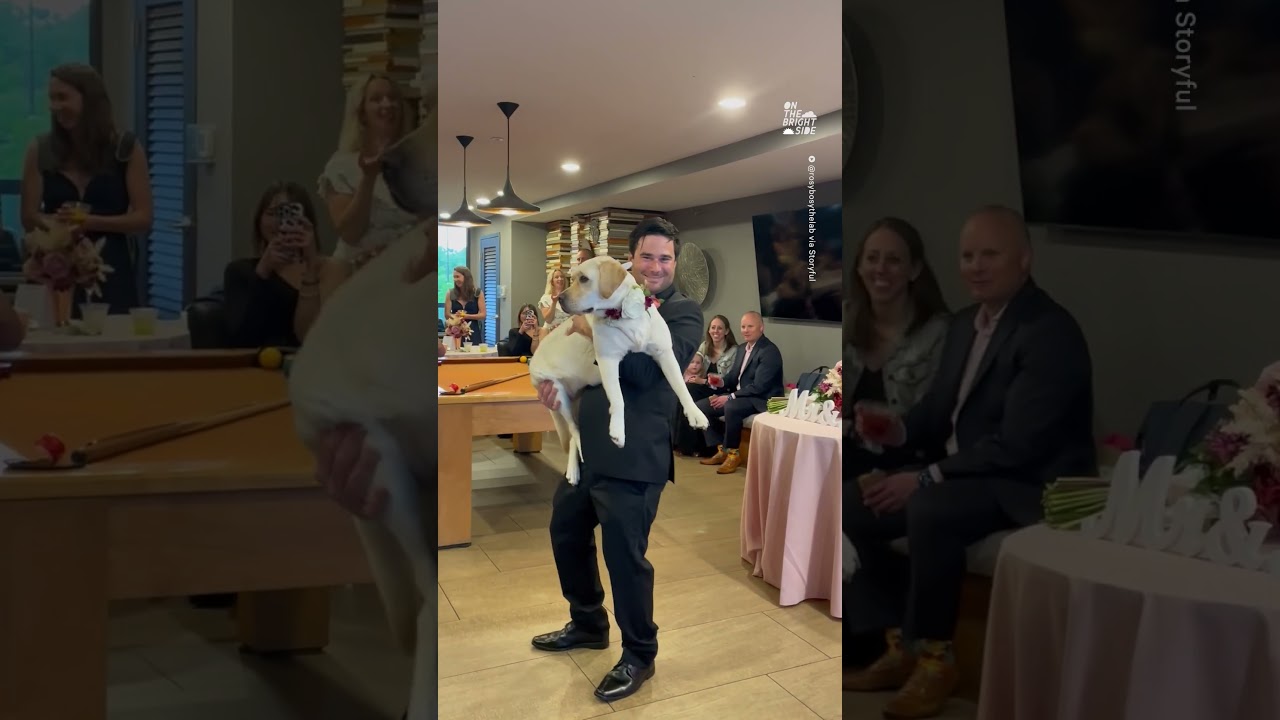 Lab Steals Spotlight With ‘father Dogter’ Dance At Wedding