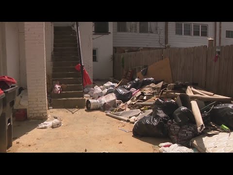 Landlords Owe $643k In Unpaid Fines For Housing Violations In Dc