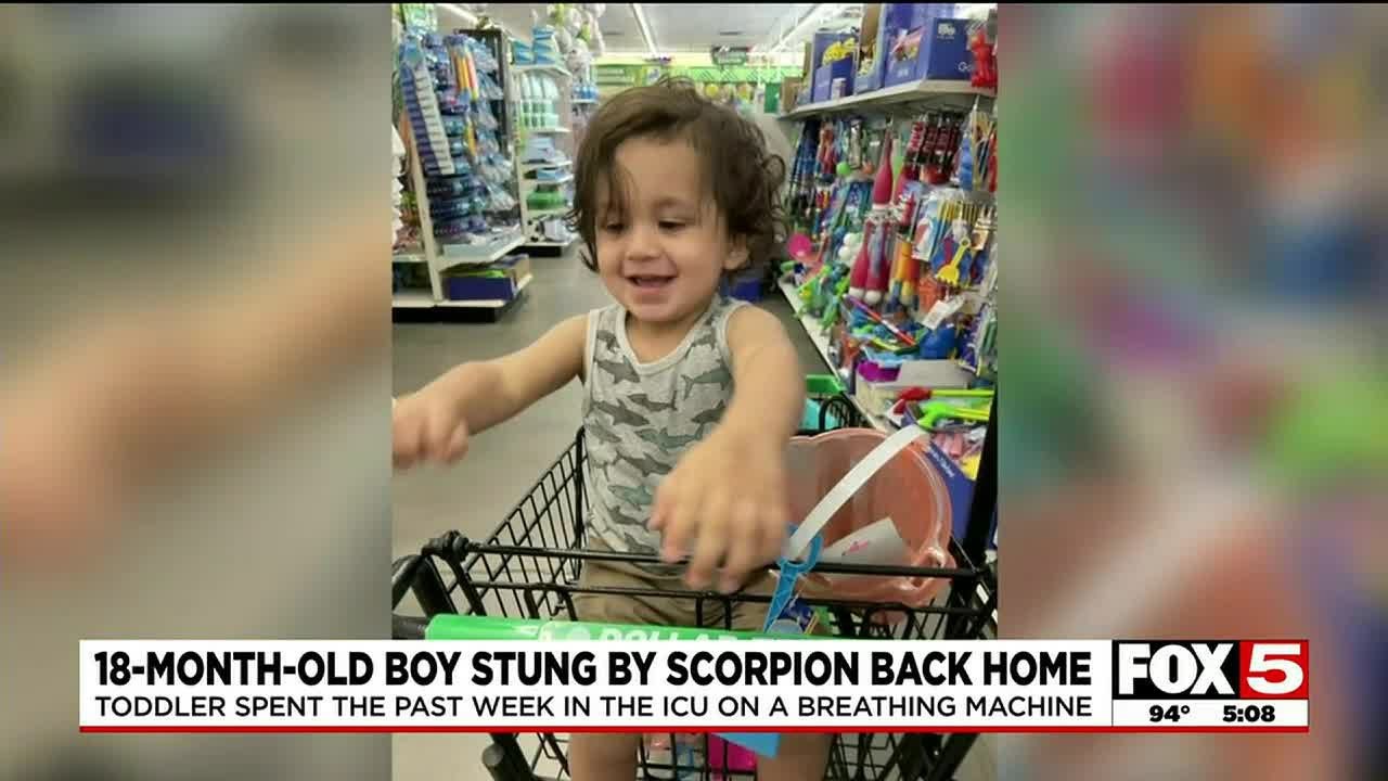 Las Vegas Toddler Stung By Scorpion Returns Home After Weeklong Icu Stay