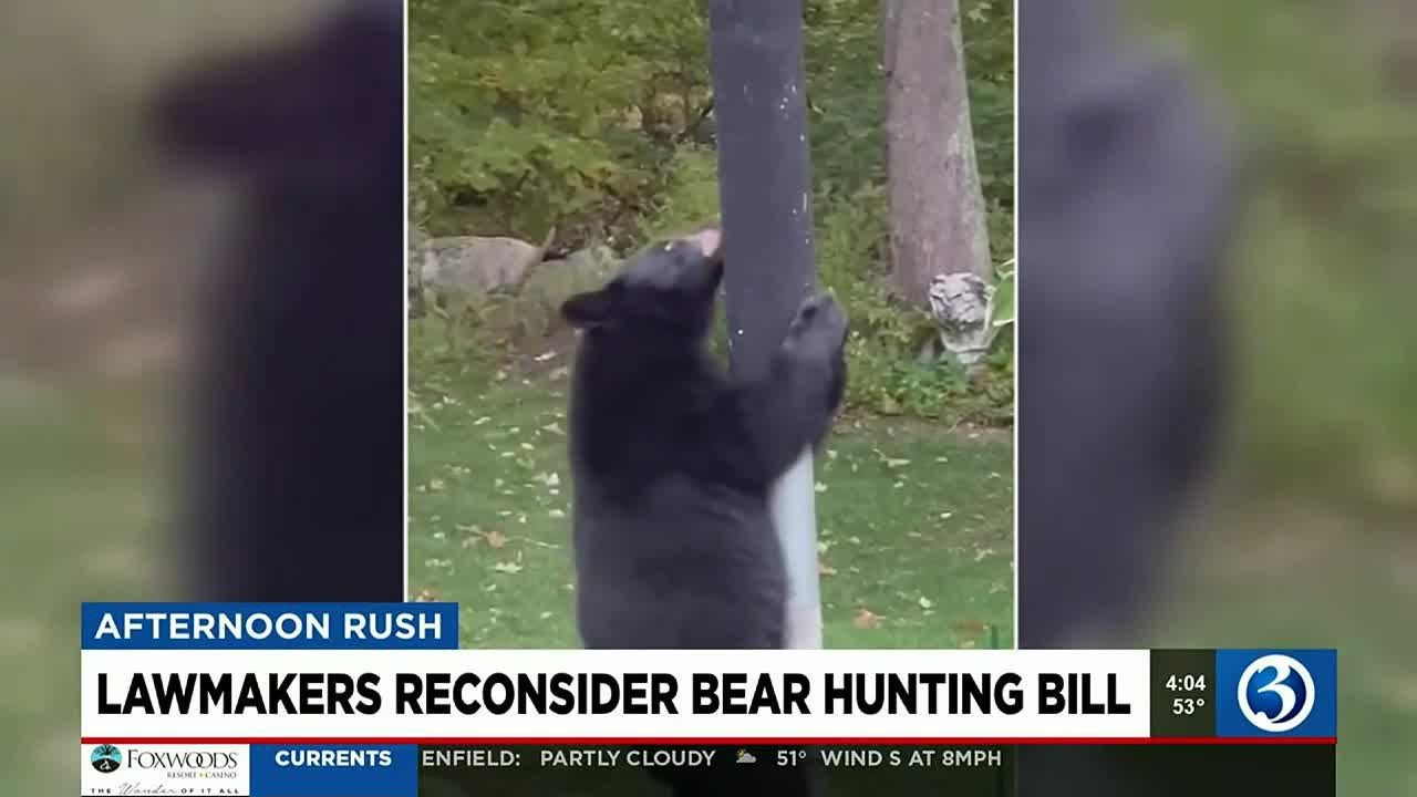 Lawmakers Reconsider Bear Hunting Bill